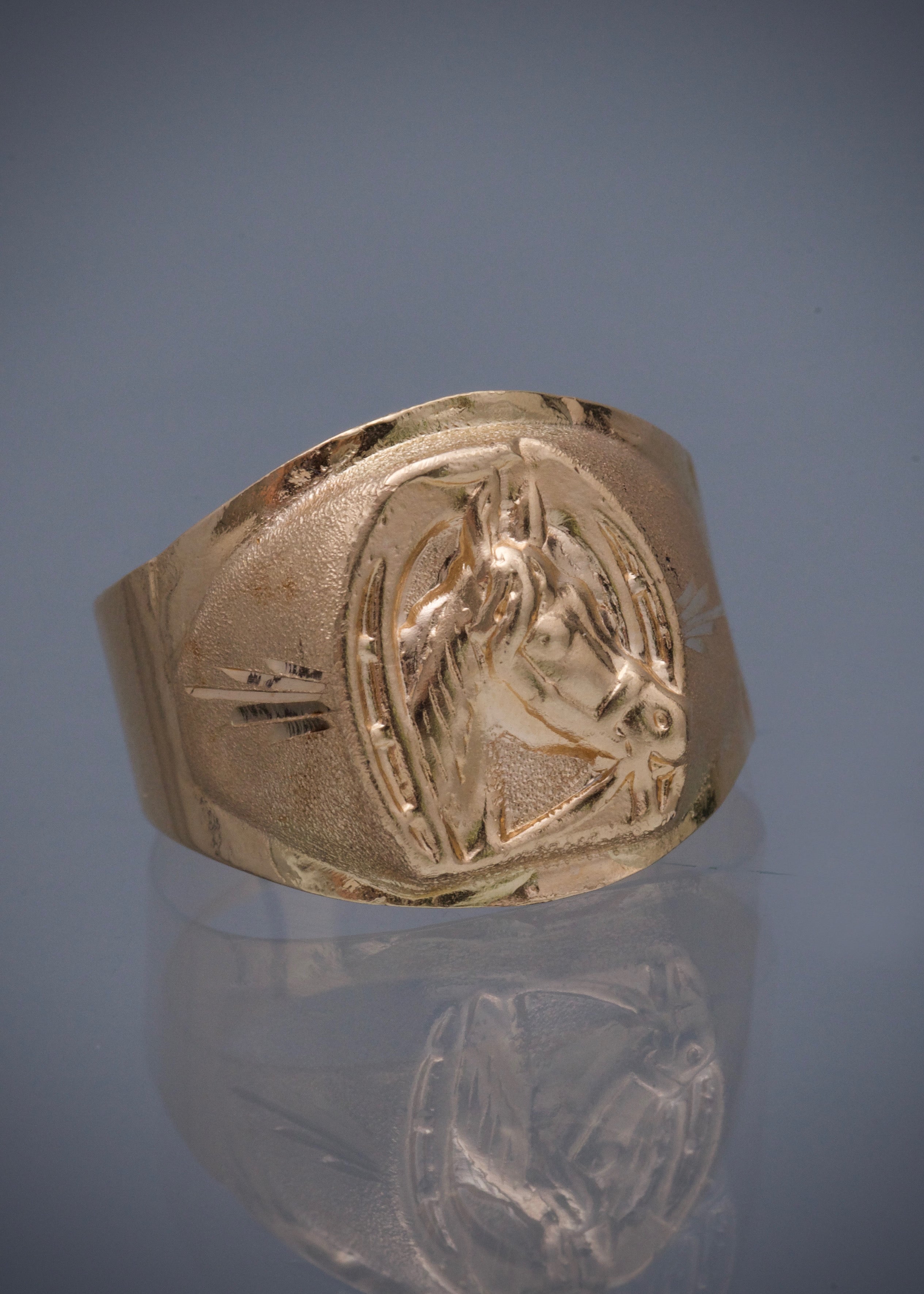 Anillo caballo 3.1gr / Talla 10 1/2 / Oro Amarillo Nac B