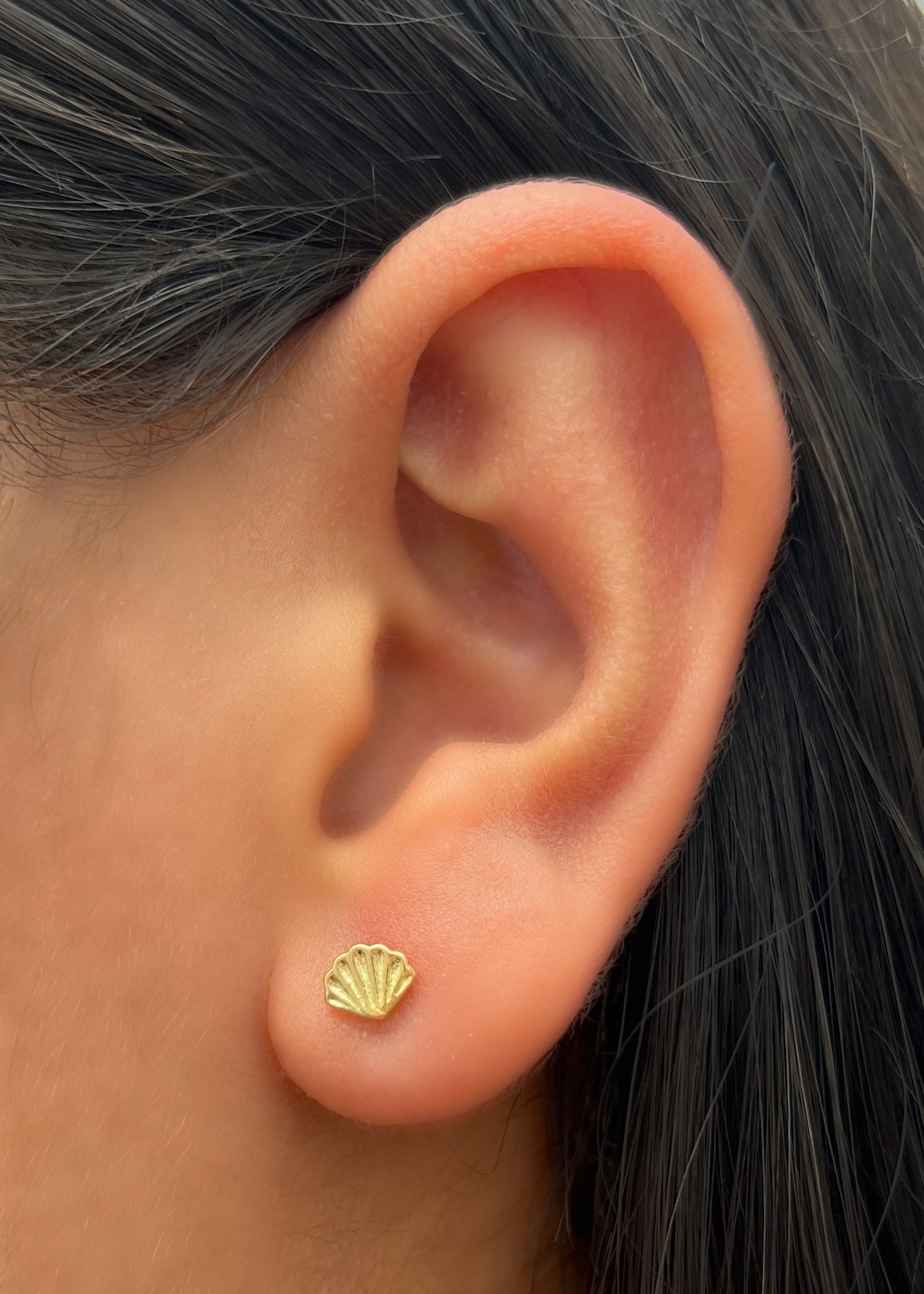 Topos concha 0.9gr / Largo 0.5cm / Oro Amarillo Nac B