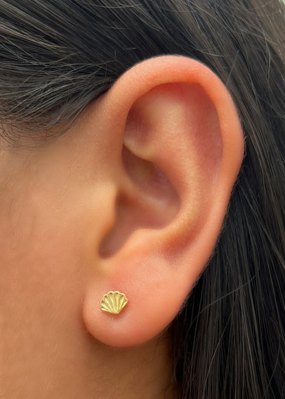 Topos concha 0.9gr / Largo 0.5cm / Oro Amarillo Nac B