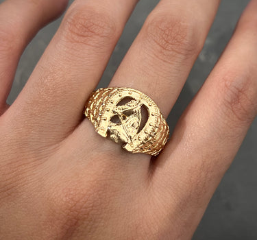 Anillo De Caballo Y HErradura 6.95gr / TALLA 10 1/4 / Oro Amarillo Nac M