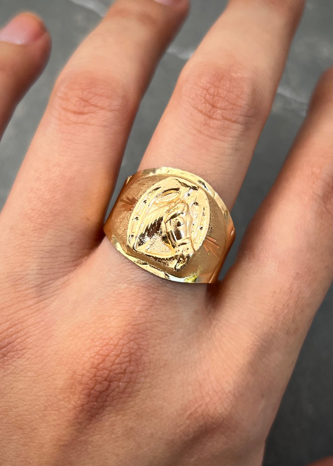 Anillo caballo 3.1gr / Talla 10 1/2 / Oro Amarillo Nac B