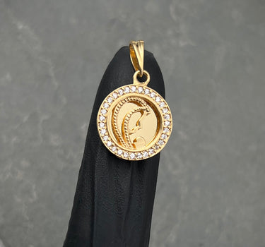 Dije medalla de la virgen maria 3.45gr / Largo 2.4cm / Oro Amarillo Nac M