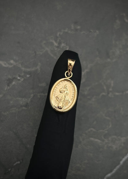 Dije de jesus de la misericordia 0.6gr / Largo 2cm  Oro Amarillo — Oro Amarillo