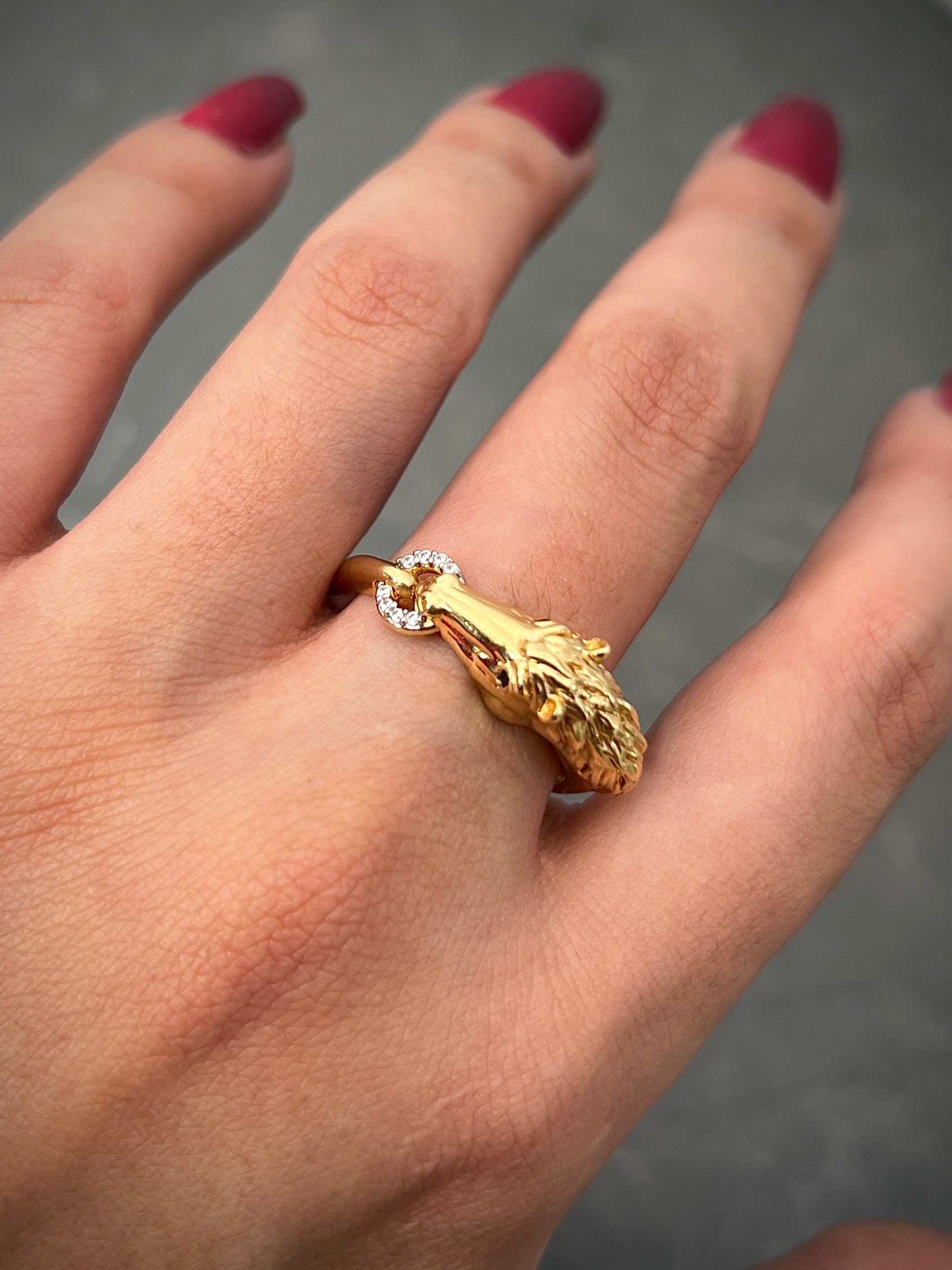 Anillo de caballo 6.5gr / Talla10 1/2  Oro Amarillo Nac M