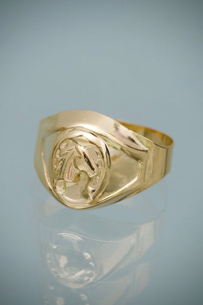 Anillo Caballo 2.2gr / Talla 8 1/4 — Oro Amarillo