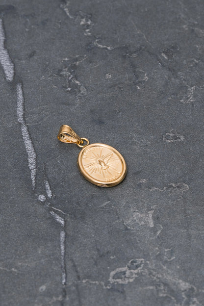 Dije espiritu santo 0.85gr / Largo 2.3cm — Oro Amarillo